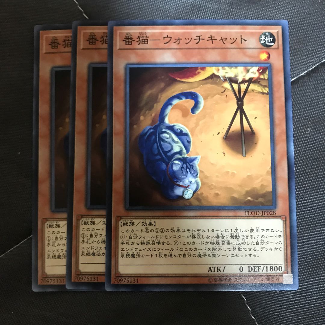 マドレース 番猫-ウォッチキャット