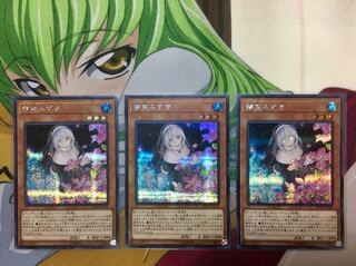 【遊戯王】 儚無みずき  イラスト違い シークレットレア