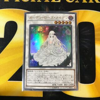 ガーデン・ローズ・メイデン