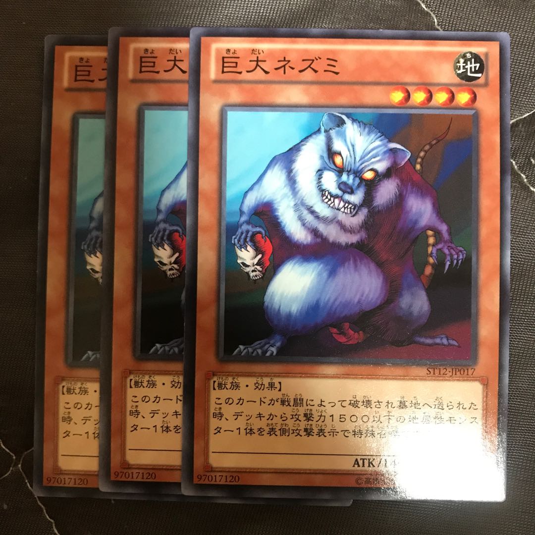 マドレース 巨大ネズミ