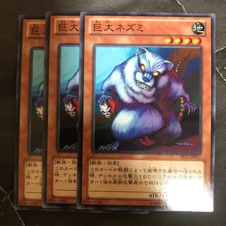 マドレース 巨大ネズミ