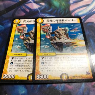 守護者ホーリー