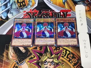 D/D Lamia SD30 1 Normal Parallel Set of 3 Tera