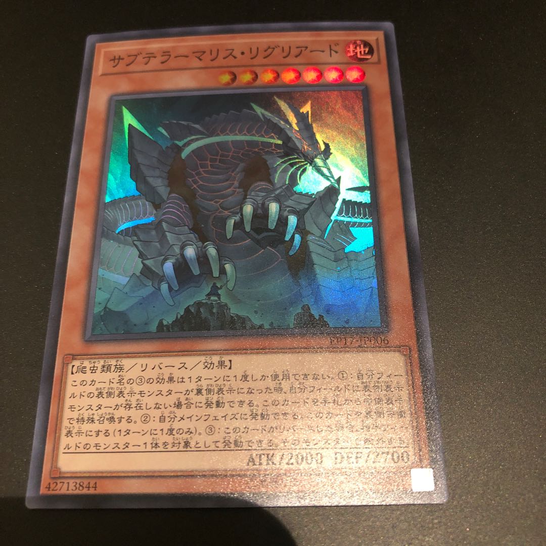 サブテラーマリスリグリアード