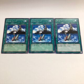 【もふもふ】サルベージ