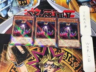 カオス・コア SD38 3 ノーマルパラレル 3枚セット てら