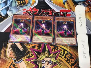 カオス・コア SD38 4 ノーマルパラレル 3枚セット てら