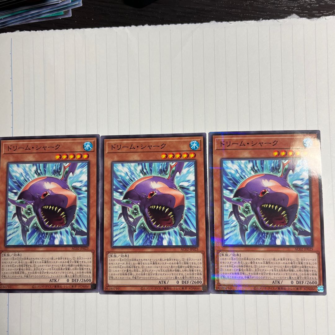 dream shark (Carcharhinus amblyrhynchos, species of Indo-Pacific requiem shark)