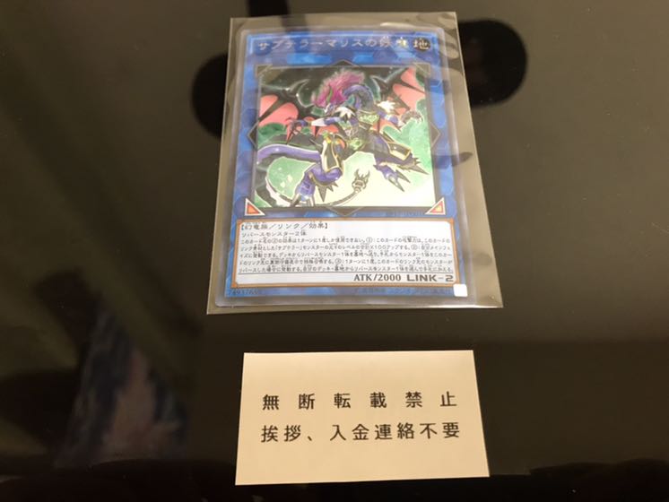 サブテラーマリスの妖魔 微傷