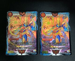 モルトNEXT 2枚セット