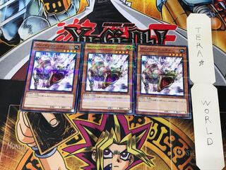 Tyranno Infinity SR04 3 Normal Parallel Set of 3 Tera.