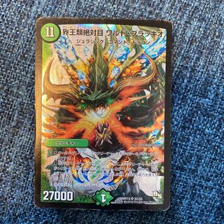 即日発送　ワルドブラッキオ　ワルド・ブラッキオ