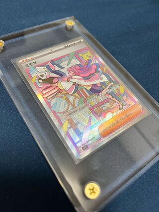 Beautiful Mimosa SAR Violet