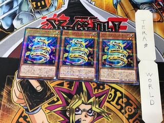 Prohibit Snake SD34 4 Normal Parallel Set of 3 Tera