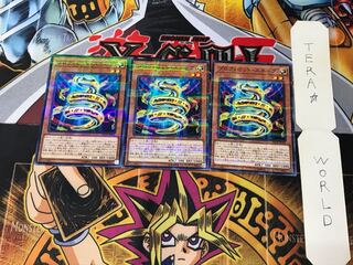 Prohibit Snake SD34 5 Normal Parallel Set of 3 Tera