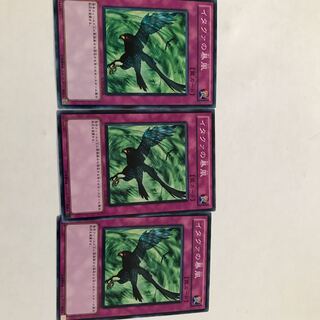 遊戯王　イタクァの暴風　３枚
