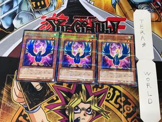 Unibird DREV 1 Normal Parallel Set of 3 Tera