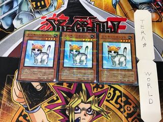 Rescue Cat FET 1 Normal Parallel 3-card set Tera