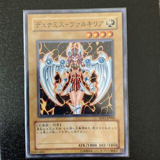 デュナミス・ヴァルキリア　エラーカード