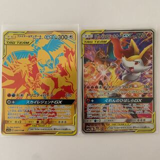 k.saitouさん専用リザードン＆テールナー絵違い