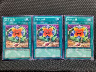 【ぽぽたん】遊戯王 3715 偽りの種 3枚 ノーマル