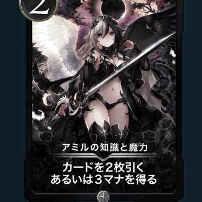 アミルの知識と魔力LV66