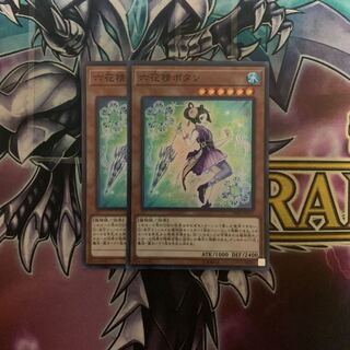 六花精ボタン2枚