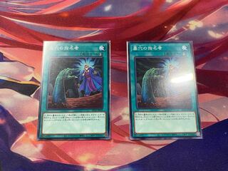 遊戯王 墓穴の指名者 N 2枚