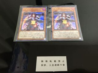 焔聖騎士リナルド ２枚 セット