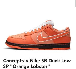 Concepts x Nike SB Dunk Low SP "Orange Lobster" Orange Lobster/Black FD8776-800 27.5cm
