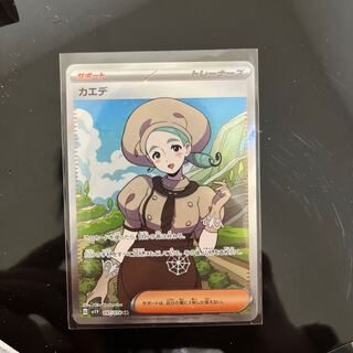 Beautiful maple SR 097/078