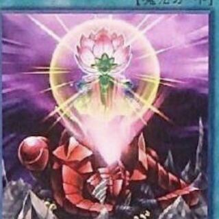 ワンフォーワン　その他募集