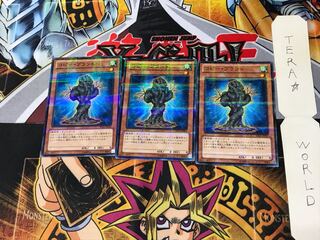 コピー・プラント AT05 2 ノーマルパラレル 3枚セット てら