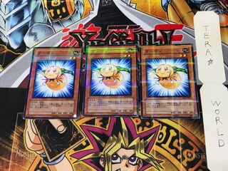 ダニポン JF10 3 ノーマルパラレル 3枚セット てら