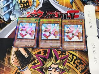 Sonic Chick YSD3 2 Normal Parallel Set of 3 Tera