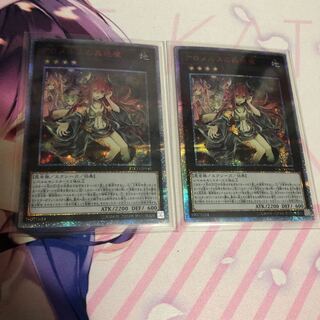 アロメルスの蟲惑魔 20th