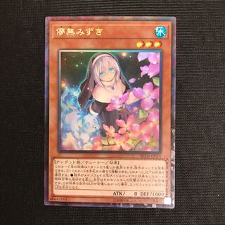 儚無みずき　コレクターズ