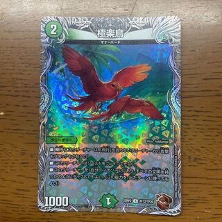 極楽鳥(銅トレジャー) R-foil TF12/TF20