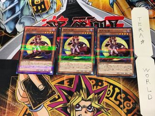 月光紅狐 DBLE 2 ノーマルパラレル 3枚セット てら