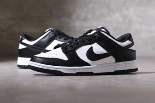 W NIKE DUNK LOW DD1503-101 28cm