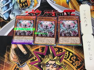 混源龍レヴィオニア PAC1 2 ノーマルパラレル 3枚セット てら