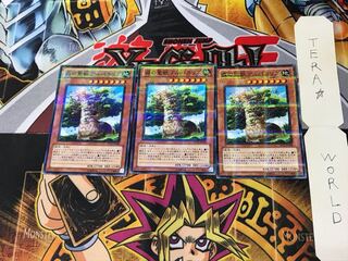 森の聖獣 アルパカリブ JF12 1 ノーマルパラレル 3枚セット てら