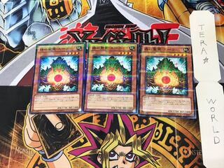 森の聖霊 エーコ JF12 3 ノーマルパラレル 3枚セット てら