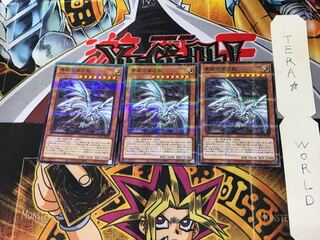 Blue-Eyes Alternative White Dragon HC01 2 Normal Parallel Set of 3 Tera