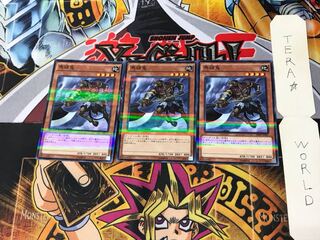 Mezuki 20AP 4 Normal Parallel Set of 3 Tera