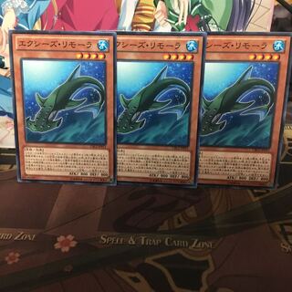 エクシーズ・リモーラ 3枚