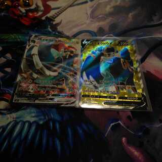 ダイオウドウVライン1-1 VはSR