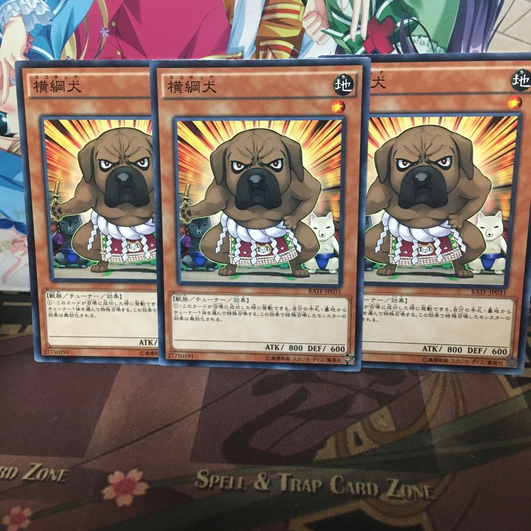 アンコウ 横綱犬 3枚