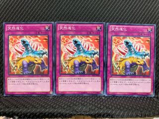 【ぽぽたん】遊戯王 2845 突然進化 3枚 ノーマル