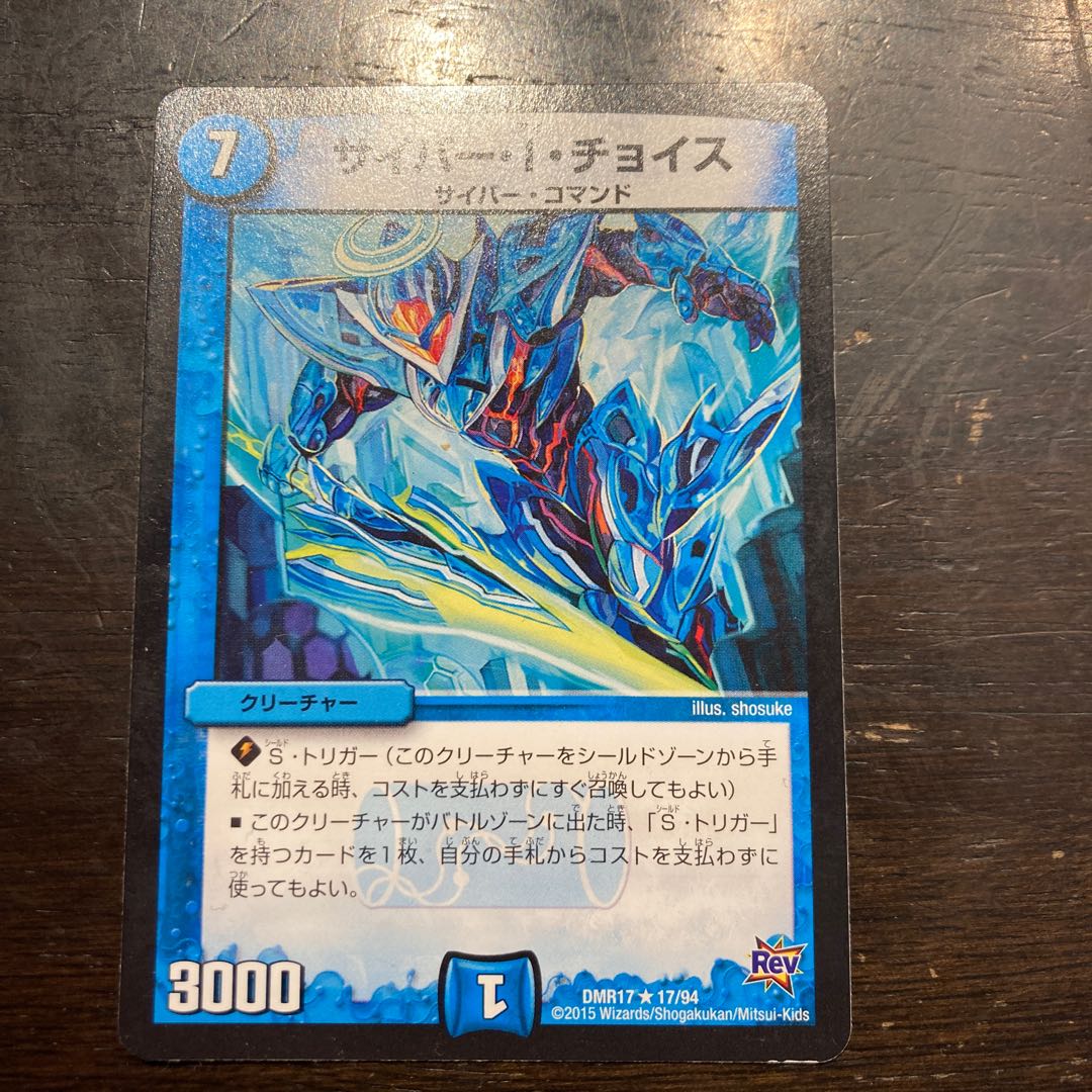 サイバー・I・チョイス R 17/94